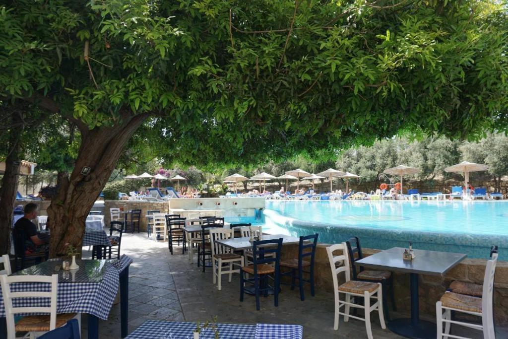 Alex'S Vacation Suite - 100M From The Beach - 6 Guests Paphos ภายนอก รูปภาพ